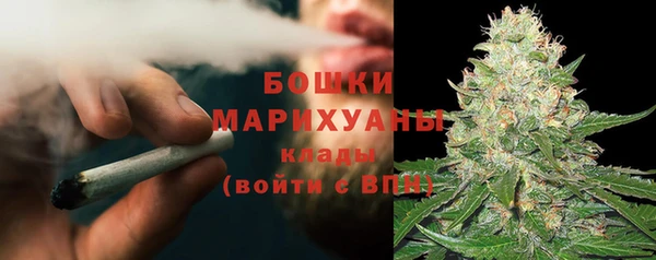 твердый Дмитриев