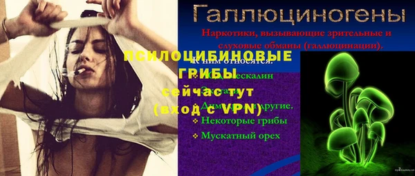 PSILOCYBIN Гусь-Хрустальный