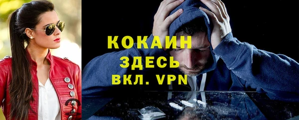 твердый Дмитриев