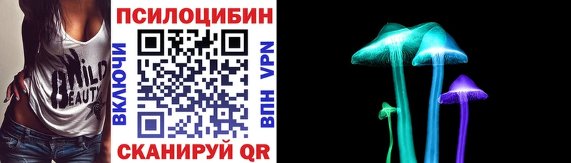kraken как зайти  Инсар  Галлюциногенные грибы прущие грибы  закладки 