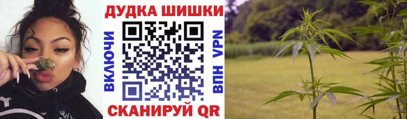 Шишки марихуана сатива  Инсар 